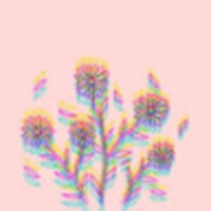 Meet your Posher, Frances